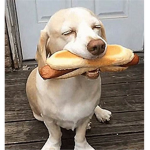 cooked hot dog united