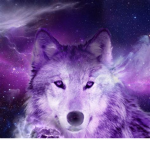 #Wolf Clan
