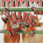 Elliot playsz fan hang out