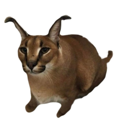 F L O P P A  ~ O B B Y 🐈  ( H A L L O W E N )
