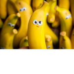Queen banana