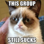 *+ The Cat Club +*