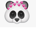 Panda group ~fun
