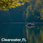 Clearwater FL