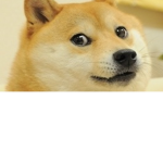 The Doge Army. :)