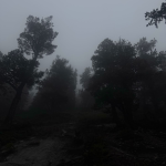 07:31