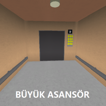 Büyük Asansör