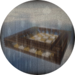 EnPassant - pollen - #12