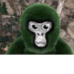 Eliasdorgzyt