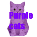 Purple cats