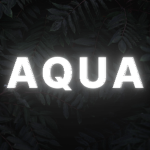 aquas race track