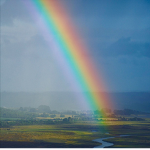 Rainbowdarkgroup