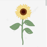 Sunflower Squad :) !!!!!!