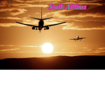 South Airlines