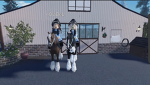 C.H Equestrian
