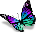 Farfalle colorate