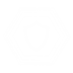 Apex Security Force