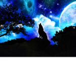 Thenighthowlers