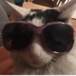 miru_uu