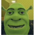 RAYNON