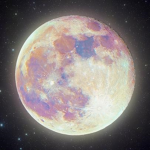 ⋆｡lunar