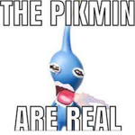 the pikmin world