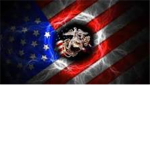 USMC *United States Marine Corps*
