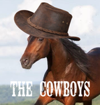 The Cowboy Community (yeehaw)