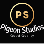 Pigeon_Studios