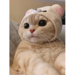 Janna_macy