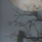 𝙄𝙣𝙫𝙖𝙙𝙚