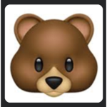 Bear families