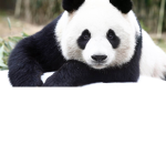 eh, dis is for mah friends only :P