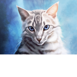 Silverkitties
