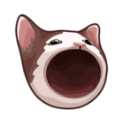 Pop cat.army