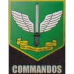 Singapore Aremed Forces Regiment Commando
