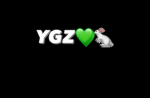 TBOGSB: YGZ