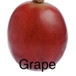 The Empire of Grape