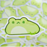 FrogBlob Studio