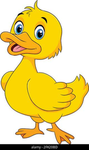 The Ducks Rise
