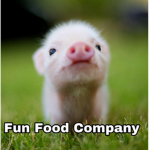 ~Fun Food Company~