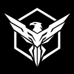 | INSANITY CORPORATION |