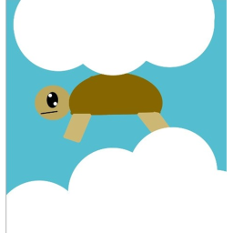 tortise simulator