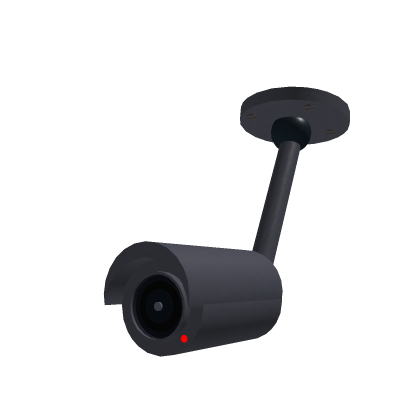 Swivel camera