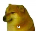 PASclupPAS