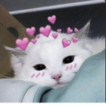 töxic