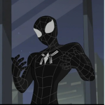 spider chronicles
