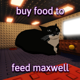 buy food to feed maxwell