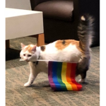 -* LGBTQ+ Family *-