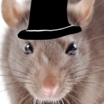 Ra ra ra ra rat
